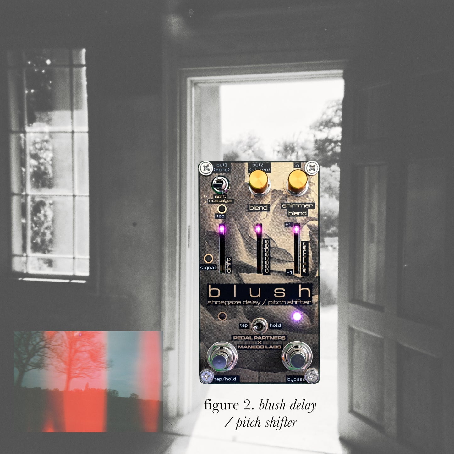 blush shoegaze delay/pitch shifter | pedal partners